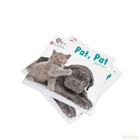 Pat, Pat: Phase 2 Set 2 (Big Cat Phonics for Little Wandle Letters and Sounds Revised) - Helen Dineen [KSIĄŻKA]