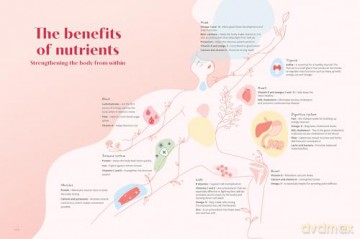 Patisserie Revolution: The Healthy Baking Bible - Johanna Le Pape [KSIĄŻKA]