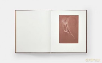 Paul Cadmus: 49 Drawings - Graham Steele [KSIĄŻKA]