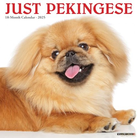 Pekingese 2025 Wall [KSIĄŻKA]