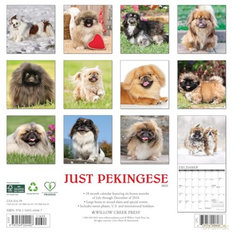 Pekingese 2025 Wall [KSIĄŻKA]