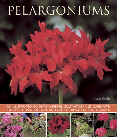 Pelargoniums: An Illustrated Guide to Varieties, Cultivation and Care, with Step-by-step Instructions and Over 170 Beautiful Photographs - Blaise Cooke [KSIĄŻKA]