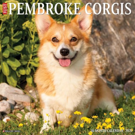 Pembroke Corgis 2025 Wall [KSIĄŻKA]