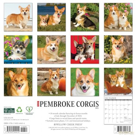 Pembroke Corgis 2025 Wall [KSIĄŻKA]