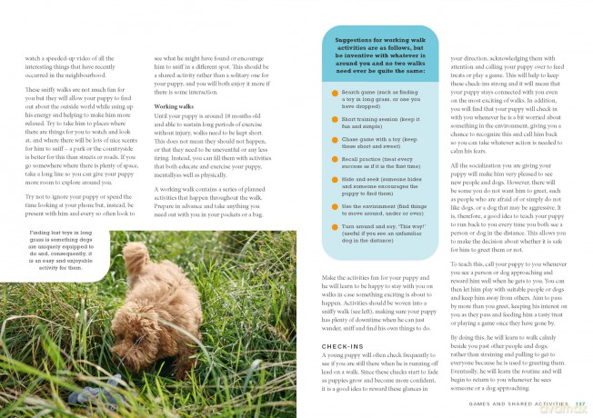 Perfect Puppy: The classic puppy training book now fully revised and updated - Gwen Bailey [KSIĄŻKA]