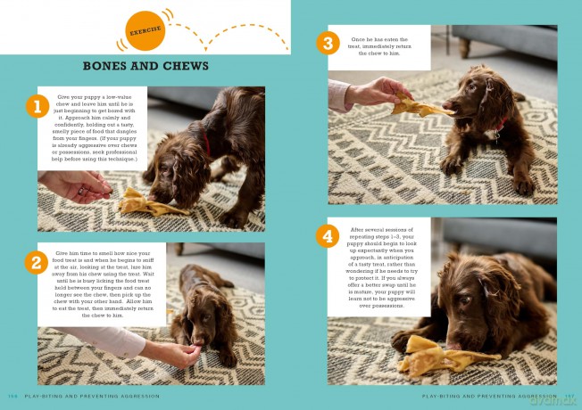 Perfect Puppy: The classic puppy training book now fully revised and updated - Gwen Bailey [KSIĄŻKA]