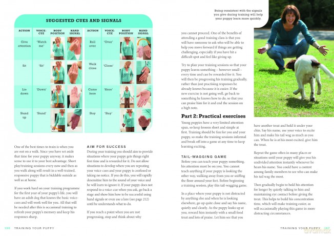 Perfect Puppy: The classic puppy training book now fully revised and updated - Gwen Bailey [KSIĄŻKA]