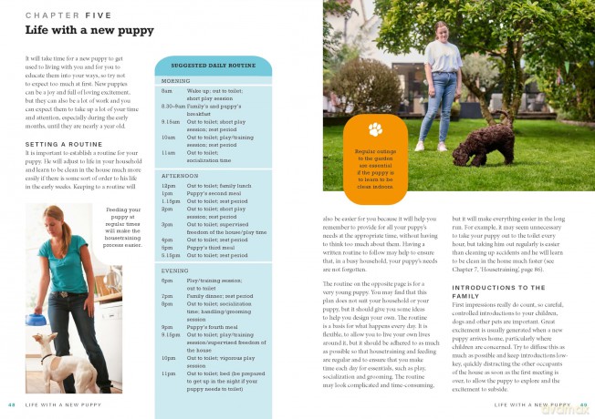 Perfect Puppy: The classic puppy training book now fully revised and updated - Gwen Bailey [KSIĄŻKA]