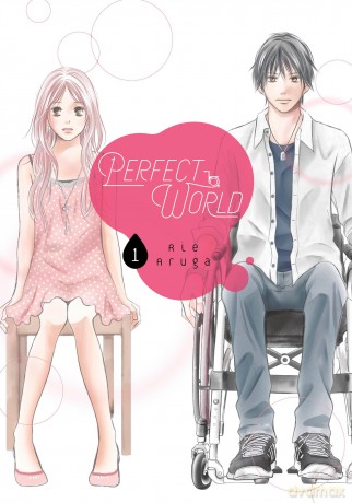 Perfect World 1 (PERFECT WORLD GN) - Rie Aruga [KOMIKS]