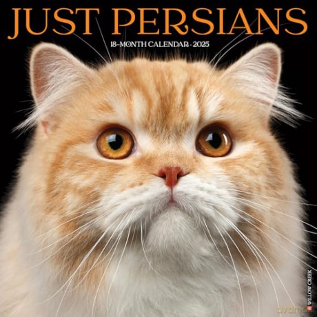 Persians 2025 Wall [KSIĄŻKA]