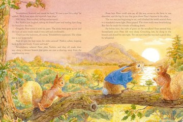 Peter Rabbit: Tales for Bedtime - Beatrix Potter [KSIĄŻKA]