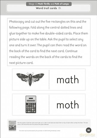 Phonic Books Dandelion World Extras Stages 8-15 Activities: Adjacent consonants and consonant digraphs (Phonic Books Beginner Decodable Readers) - Phonic Books [KSIĄŻKA]