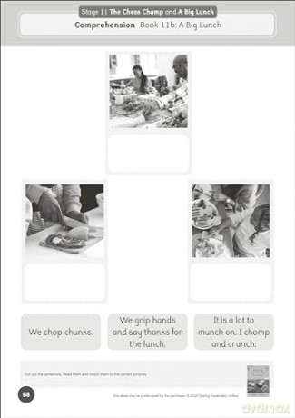 Phonic Books Dandelion World Extras Stages 8-15 Activities: Adjacent consonants and consonant digraphs (Phonic Books Beginner Decodable Readers) - Phonic Books [KSIĄŻKA]