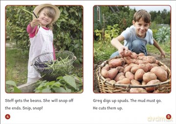 Phonic Books Dandelion World Extras Stages 8-15: Adjacent consonants and consonant digraphs (Phonic Books Beginner Decodable Readers) - Phonic Books [KSIĄŻKA]