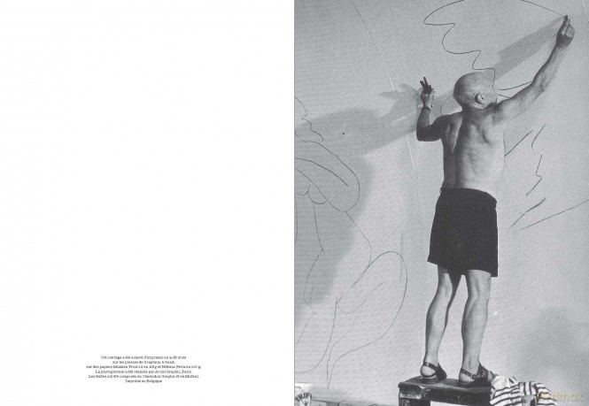 Picasso: Drawing to Infinity - Anne Lemonnier [KSIĄŻKA]