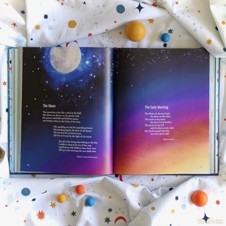 Pick and Mix Poetry: Children's verse chosen by Julia Donaldson: A stunning gift collection, perfect for every bookshelf - Julia Donaldson [KSIĄŻKA]