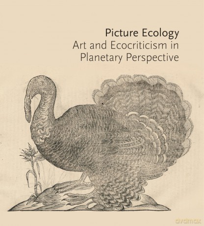 Picture Ecology: Art and Ecocriticism in Planetary Perspective - Kusserow [KSIĄŻKA]