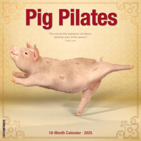 Pig Pilates 2025 Wall [KSIĄŻKA]