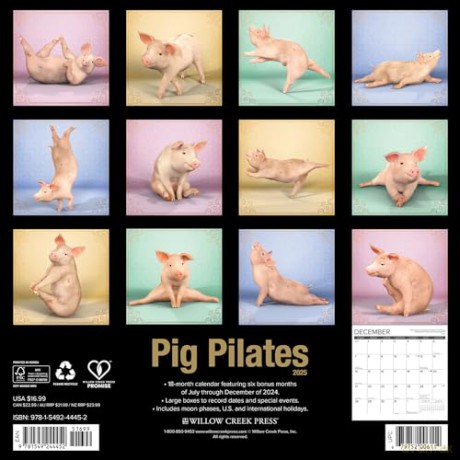 Pig Pilates 2025 Wall [KSIĄŻKA]