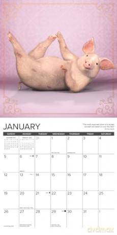 Pig Pilates 2025 Wall [KSIĄŻKA]