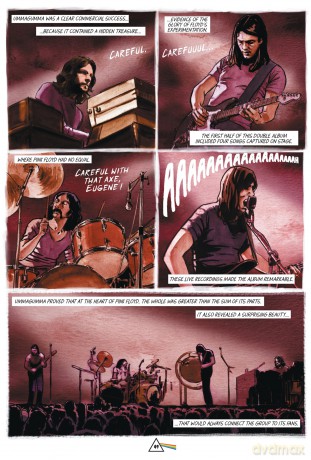 Pink Floyd in Comics! (NBM Comics Biographies) - Nicolas Finet [KOMIKS]