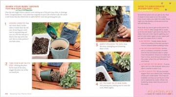 Plant Pets: 27 Cool Houseplants to Grow and Love - Beatrice Boggs Allen [KSIĄŻKA]
