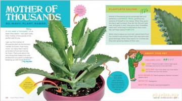 Plant Pets: 27 Cool Houseplants to Grow and Love - Beatrice Boggs Allen [KSIĄŻKA]