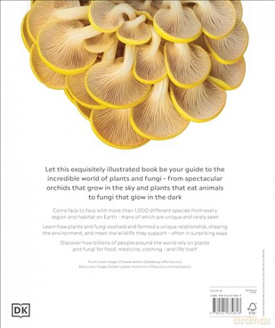 Plants and Fungi: The Definitive Visual Guide (DK Definitive Visual Encyclopedias) [KSIĄŻKA]