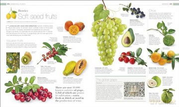 Plants and Fungi: The Definitive Visual Guide (DK Definitive Visual Encyclopedias) [KSIĄŻKA]