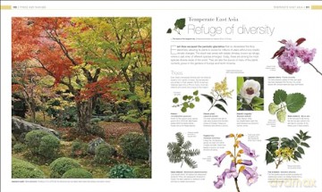 Plants and Fungi: The Definitive Visual Guide (DK Definitive Visual Encyclopedias) [KSIĄŻKA]