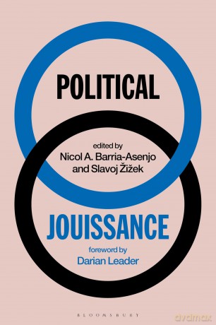 Political Jouissance - Slavoj Žižek [KSIĄŻKA]