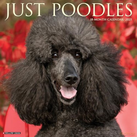 Poodles 2025 Wall [KSIĄŻKA]