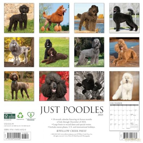 Poodles 2025 Wall [KSIĄŻKA]