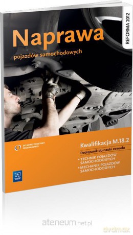 Naprawa pojazdów samochodowych [KSĄŻKA]