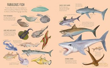 Prehistoric Life (A Whole World of...) - Anna Claybourne [KSIĄŻKA]