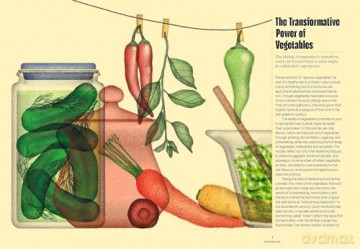 Preserved: Vegetables: 25 Recipes (Volume 4) - Darra Goldstein [KSIĄŻKA]