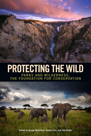 Protecting the Wild: Parks and Wilderness, the Foundation for Conservation - George Wuerthner [KSIĄŻKA]