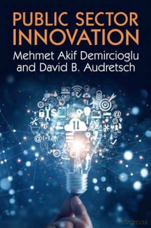 Public Sector Innovation - Mehmet Akif Demircioglu [KSIĄŻKA]