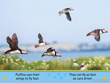 Puffins (Pre-Reader) (National Geographic Readers) - Myers [KSIĄŻKA]