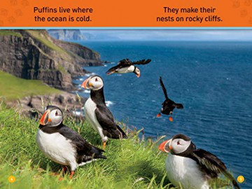 Puffins (Pre-Reader) (National Geographic Readers) - Myers [KSIĄŻKA]