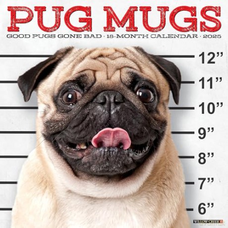 Pug Mugs 2025 Wall [KSIĄŻKA]