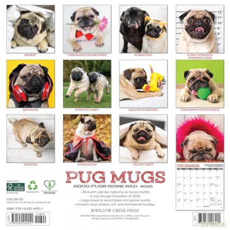 Pug Mugs 2025 Wall [KSIĄŻKA]