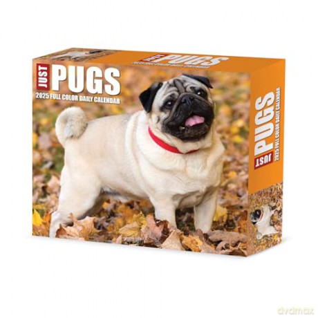 Pugs 2025 Box [KSIĄŻKA]