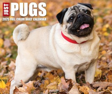 Pugs 2025 Box [KSIĄŻKA]
