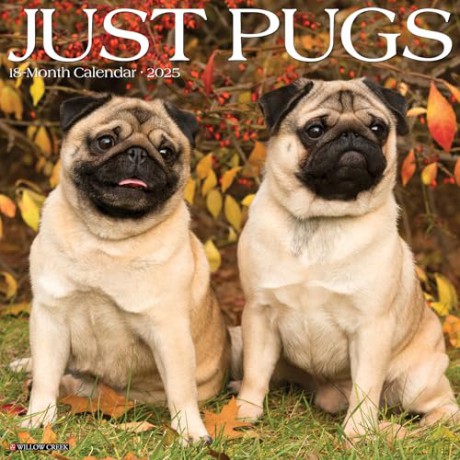 Pugs 2025 Wall [KSIĄŻKA]