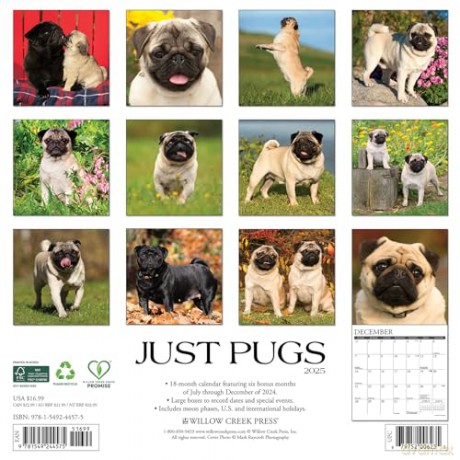 Pugs 2025 Wall [KSIĄŻKA]