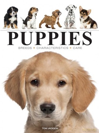 Puppies (Mini Animals) (Mini Encyclopedias) - Tom Jackson [KSIĄŻKA]