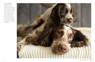 Puppies (Mini Animals) (Mini Encyclopedias) - Tom Jackson [KSIĄŻKA]