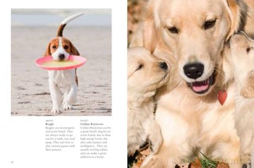 Puppies (Mini Animals) (Mini Encyclopedias) - Tom Jackson [KSIĄŻKA]