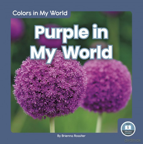 Purple in My World (Colors in My World) - Brienna Rossiter [KSIĄŻKA]
